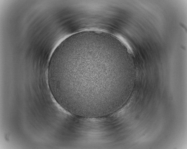 X0000091191100200708161544