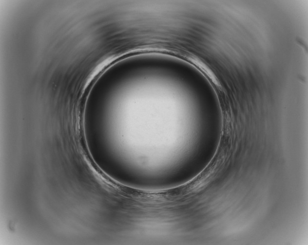 X0000091191101200708161544
