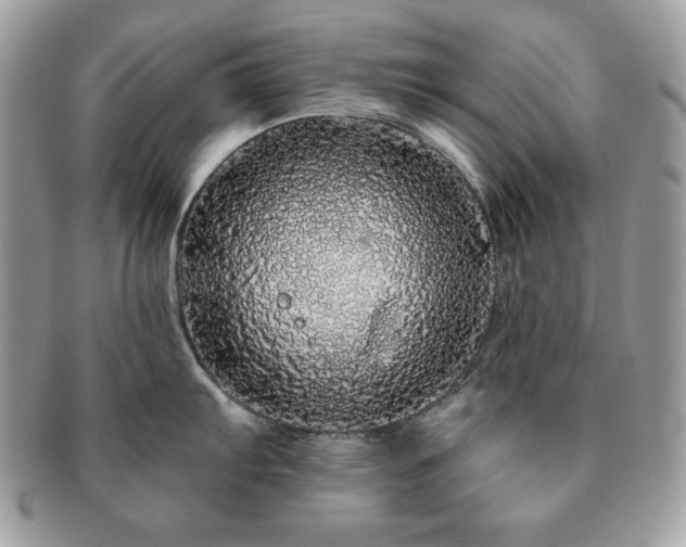 X0000091191103200708161544
