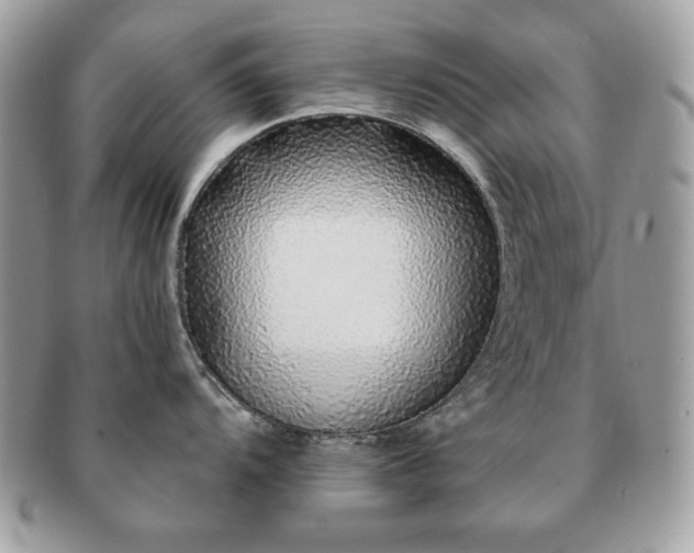 X0000091191104200708161544