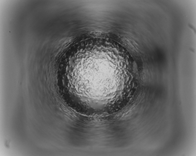 X0000091191105200708161544