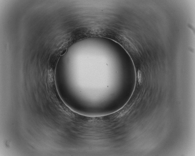 X0000091191107200708161544