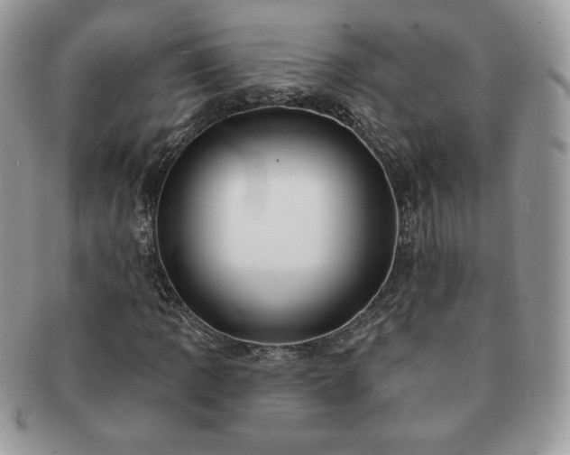 X0000091191109200708161544