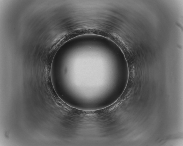 X0000091191110200708161544
