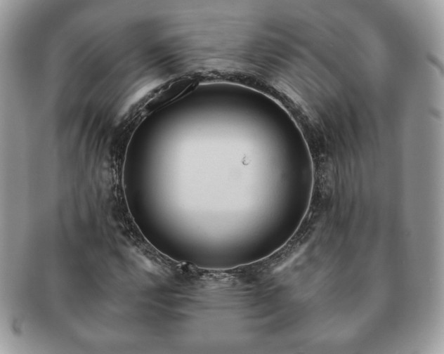 X0000091191112200708161544