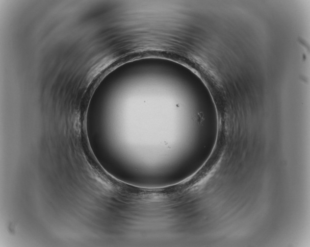 X0000091191113200708161544