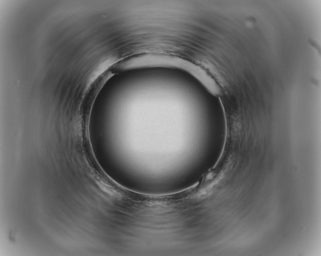 X0000091191114200708161544