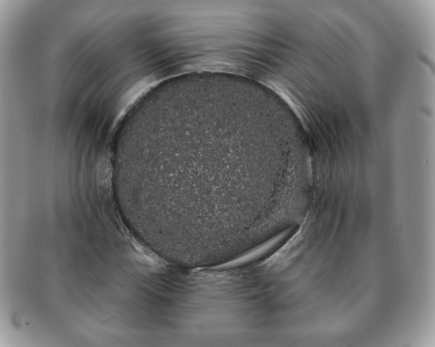 X0000091191115200708161544