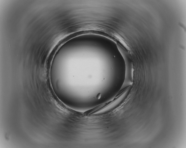 X0000091191116200708161544