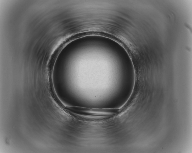 X0000091191118200708161544