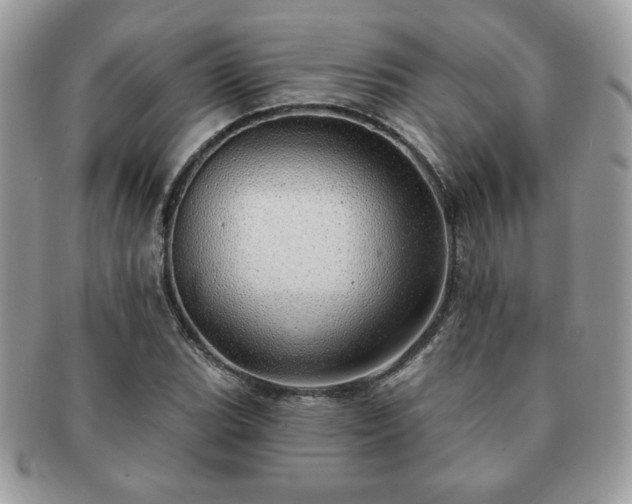 X0000091191119200708161544