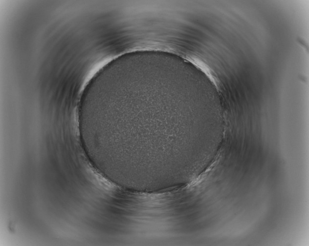 X0000091191120200708161544