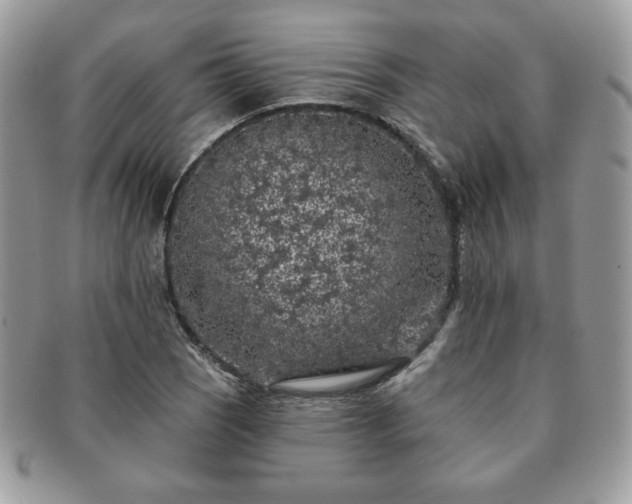 X0000091191121200708161544