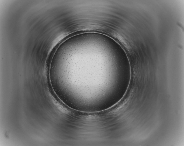 X0000091191122200708161544