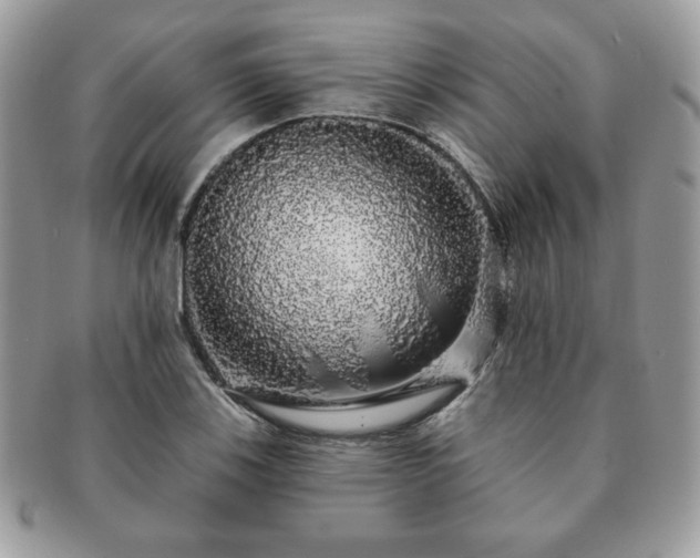 X0000091191123200708161544