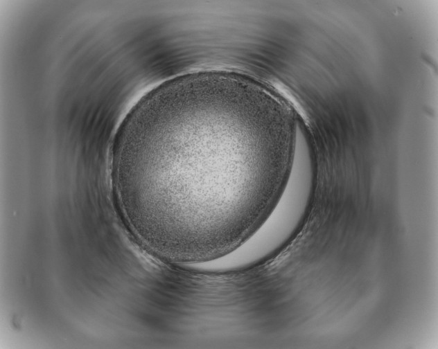 X0000091191124200708161544