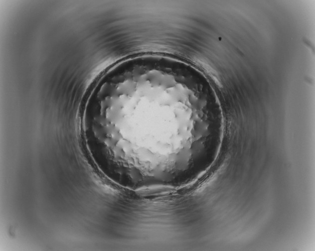 X0000091191125200708161544