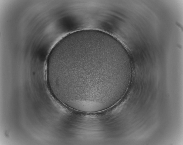 X0000091191126200708161544