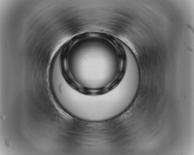 X0000091191128200708161544
