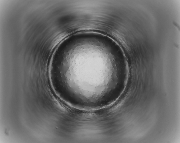 X0000091191129200708161544