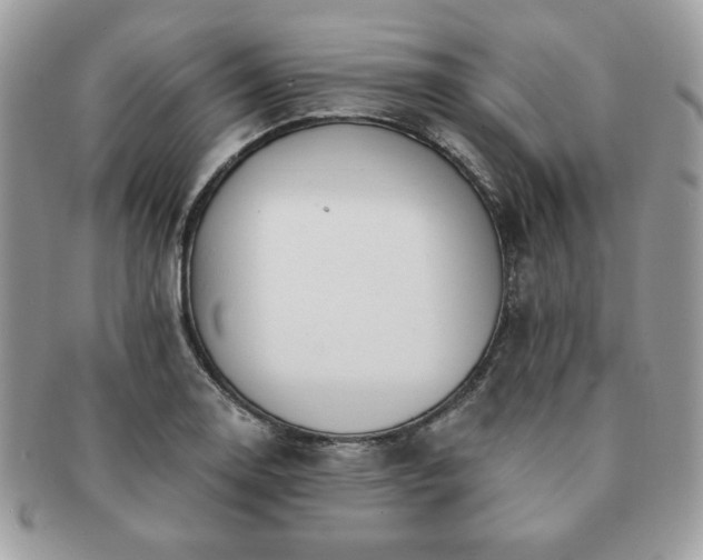 X0000091191130200708161544