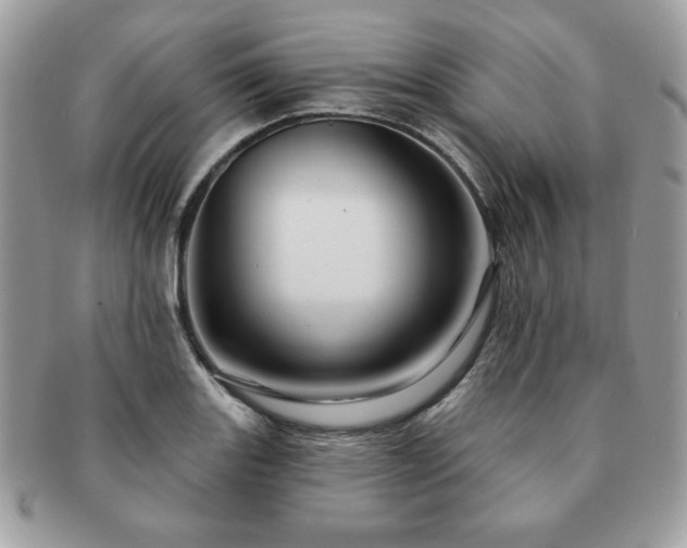 X0000091191131200708161544