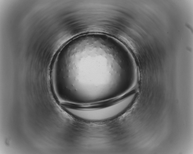X0000091191133200708161544