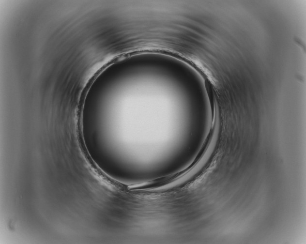 X0000091191134200708161544