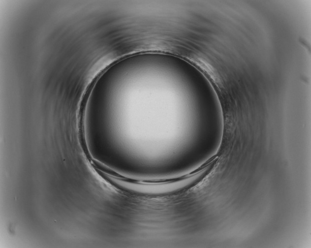 X0000091191135200708161544