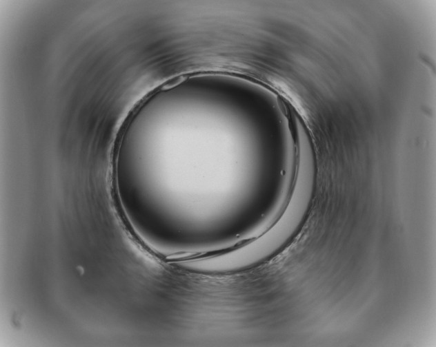 X0000091191136200708161544