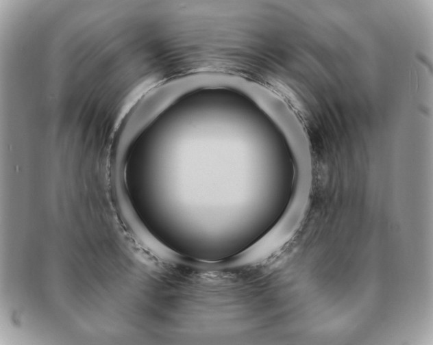 X0000091191138200708161544
