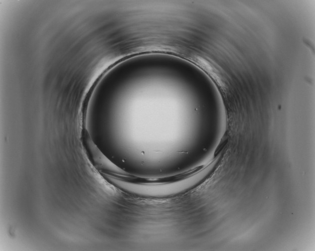 X0000091191140200708161544