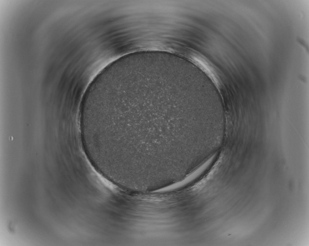 X0000091191141200708161544