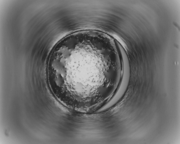 X0000091191142200708161544