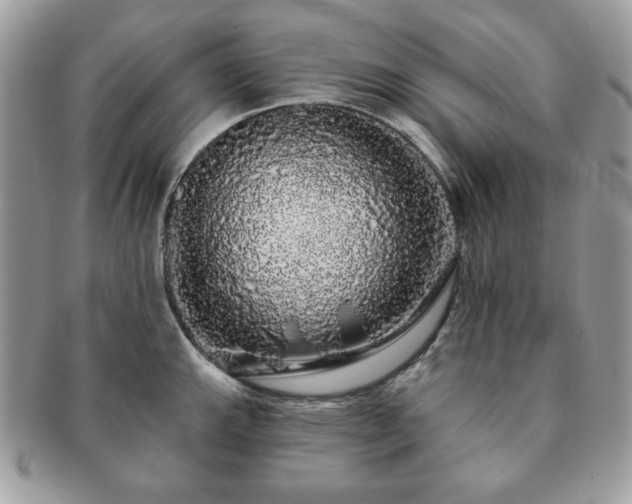 X0000091191143200708161544