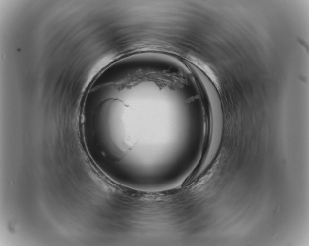 X0000091191146200708161544