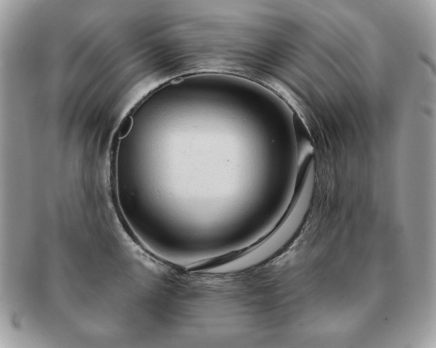 X0000091191147200708161544