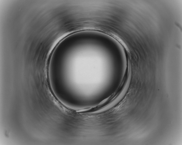 X0000091191148200708161544