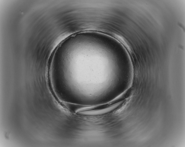 X0000091191149200708161544
