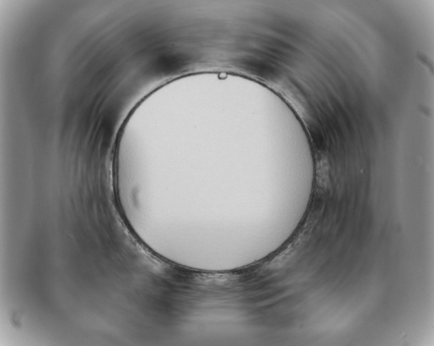 X0000091191150200708161544