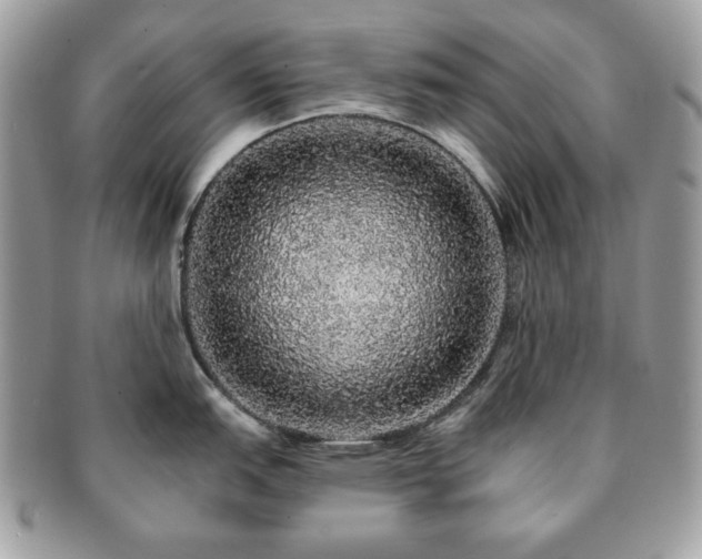 X0000091191151200708161544