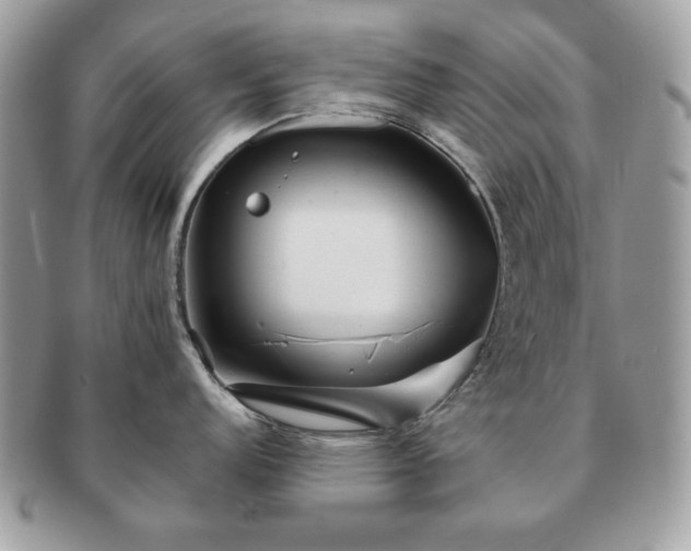X0000091191152200708161544