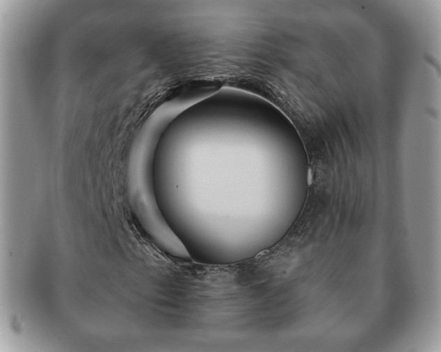 X0000091191153200708161544