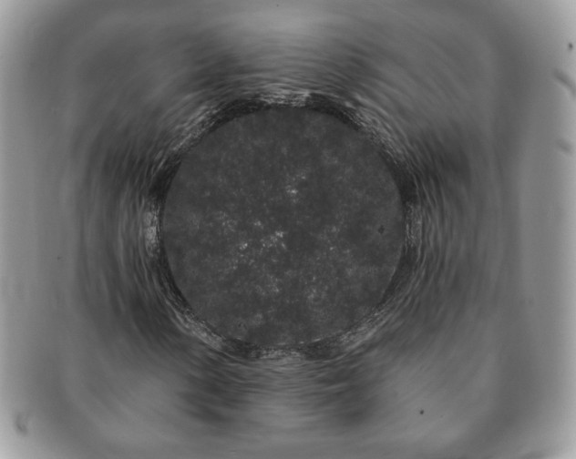 X0000091191154200708161544