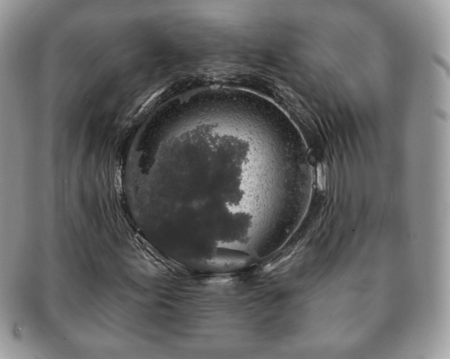 X0000091191155200708161544
