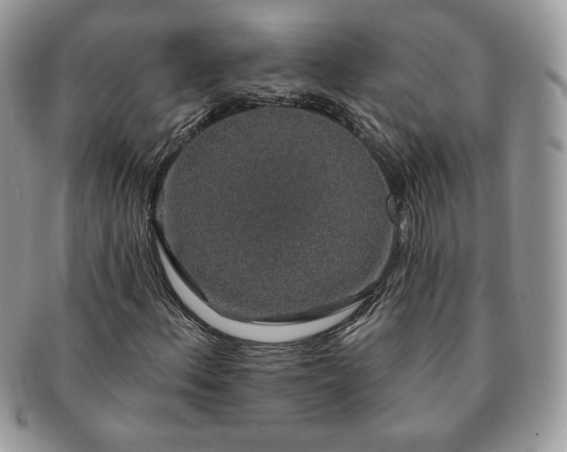 X0000091191156200708161544
