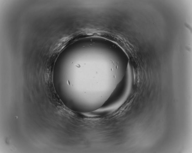 X0000091191157200708161544