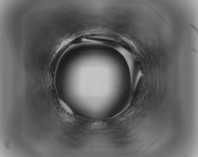 X0000091191160200708161543