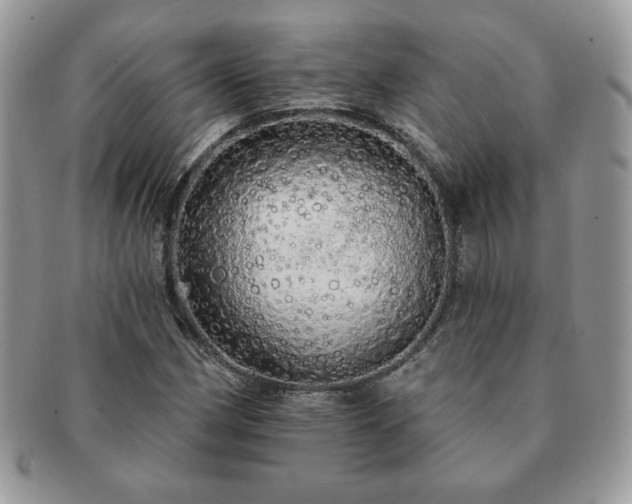 X0000091191162200708161543