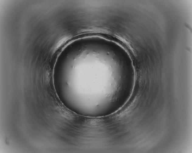 X0000091191163200708161543